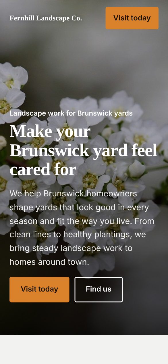 Example website on a phone